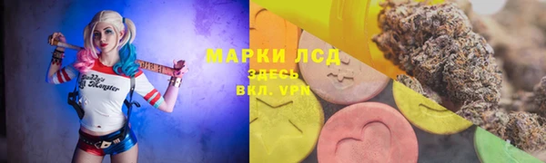 шишки Балахна