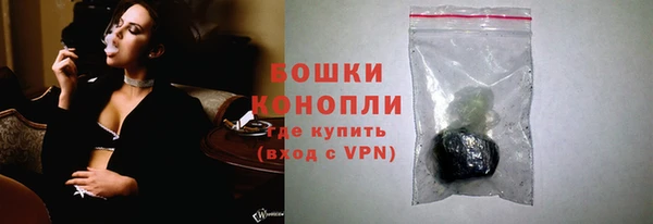 шишки Балахна