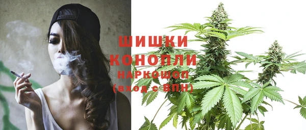 шишки Балахна