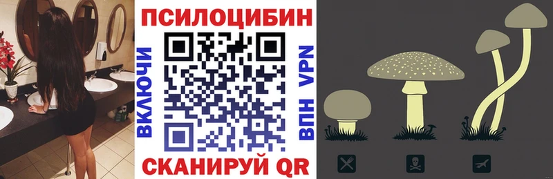 Псилоцибиновые грибы прущие грибы  Саратов 